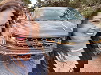 The 2024 Ford F-150 Tremor Kicks Butt (and the Platinum Rocks)